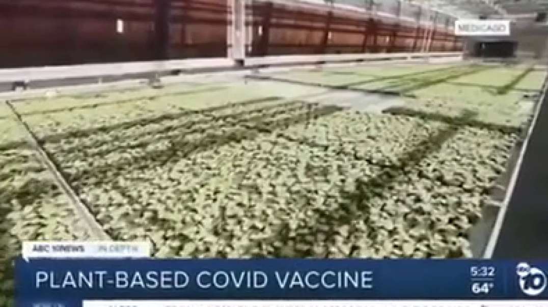 Developing vaccines for the veggies you eat
