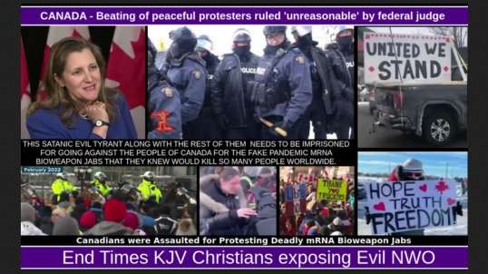 CANADA - Beating of peaceful protesters ruled 'unreasonable' by federal judge