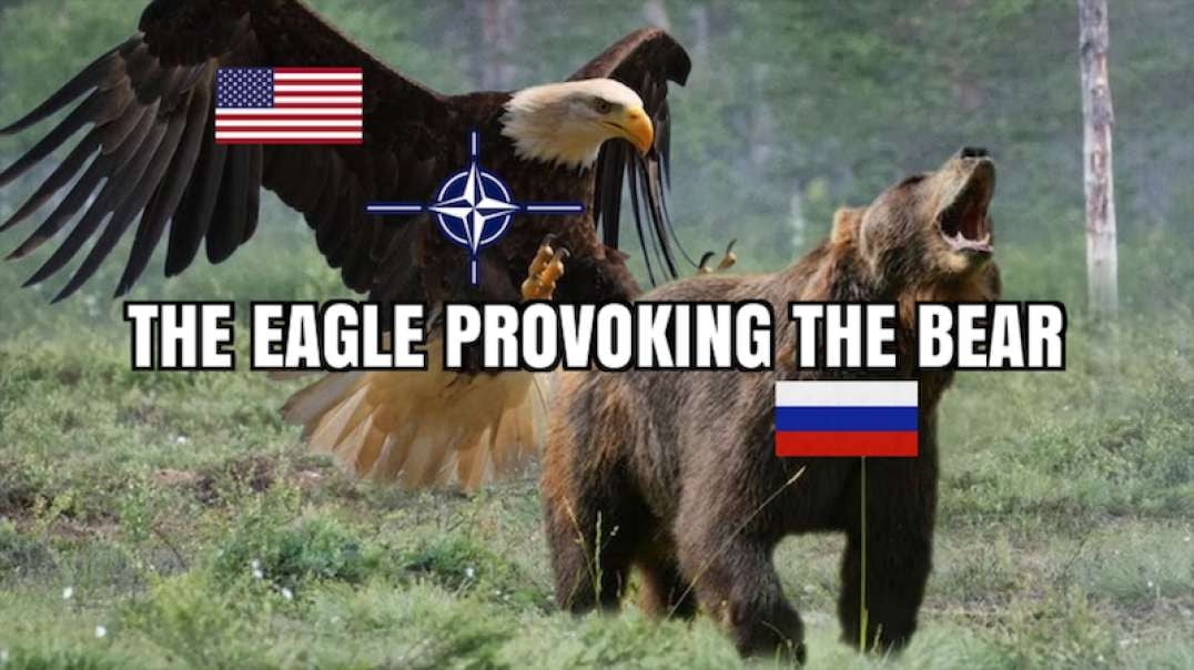 THE EAGLE PROVOKING THE BEAR