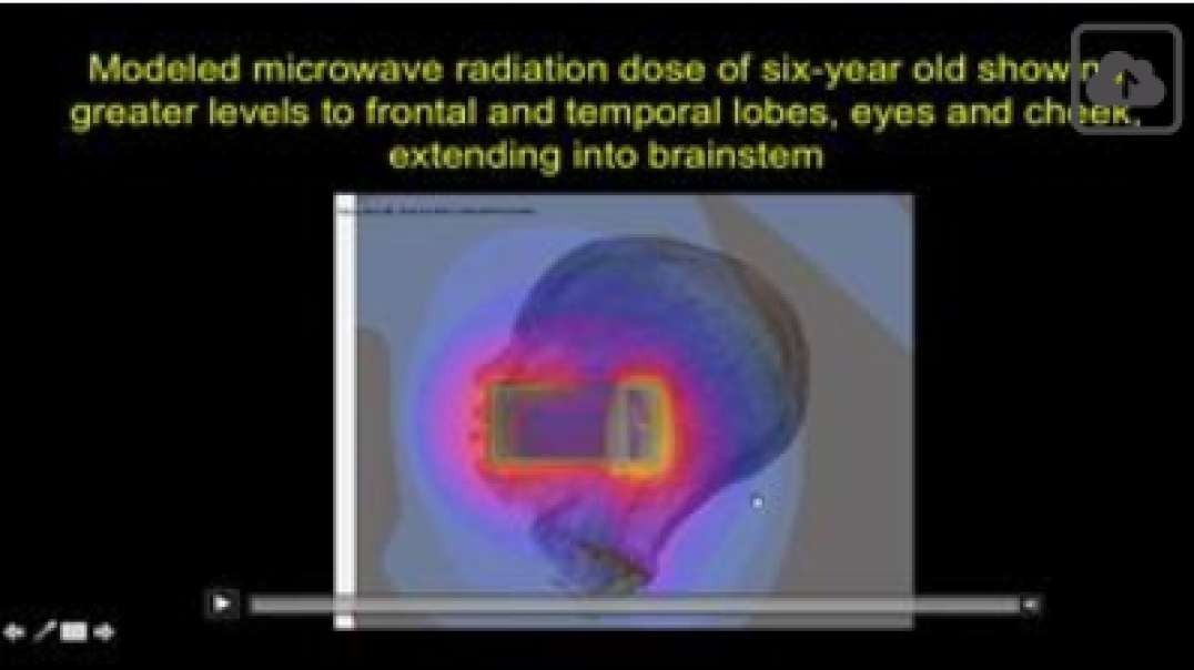 The Truth about Cell Phone Radiation -- Not Good, Jan 8, 2024