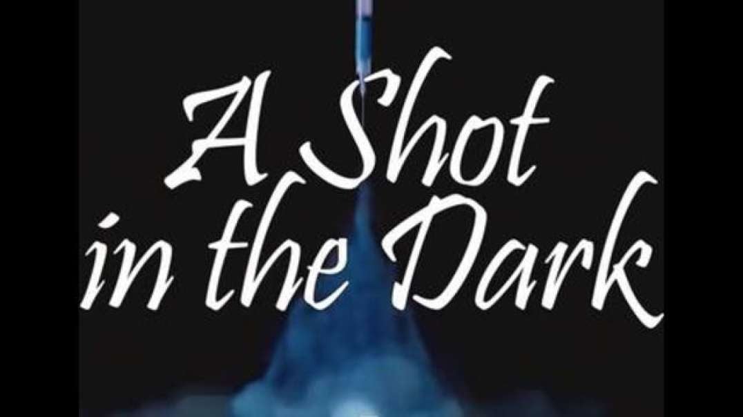 A Shot In The Dark (2020)
