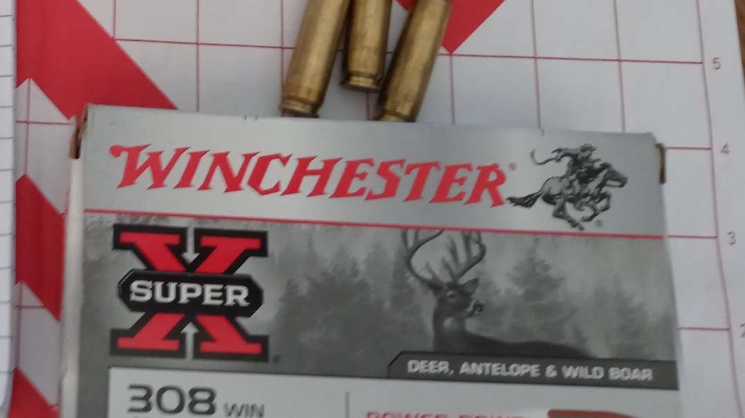 Winchester Super X 180 Grain Power Point