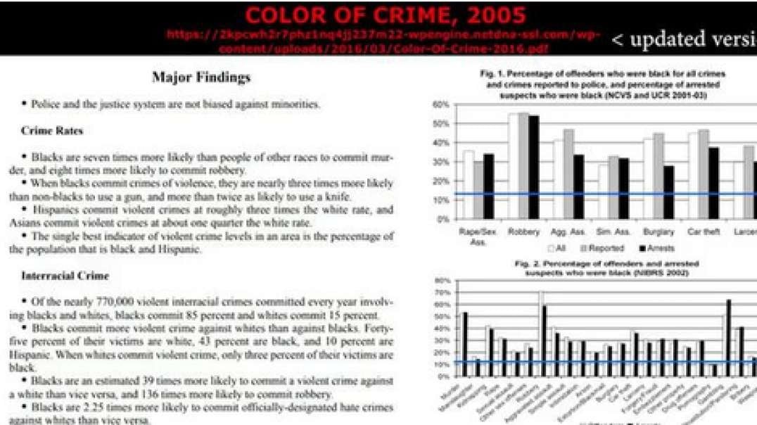 Emily Youcis - Black Crime Stats, Etc., Feb 4, 2024.mp4