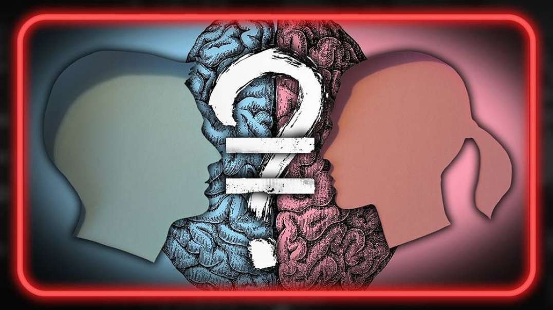 Comedy Extravaganza: Men And Women's Brains Are Different, Claim Scientists