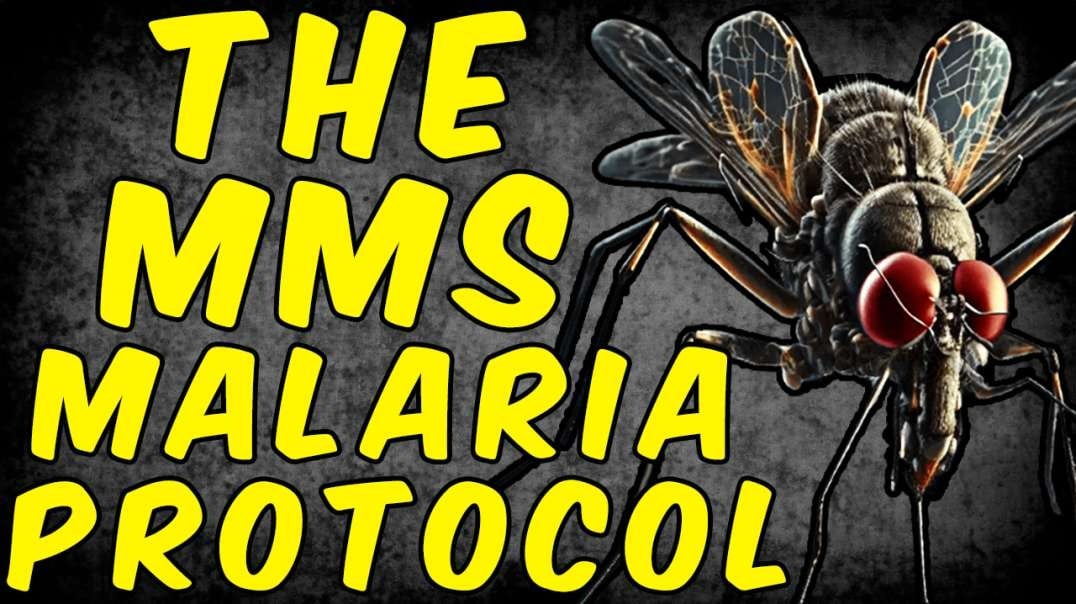 The MMS (Miracle Mineral Solution) Malaria Protocol