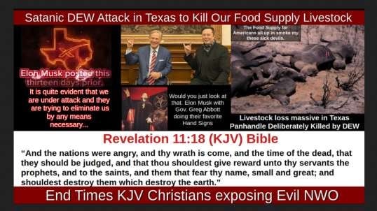 Satanic DEW Attack in Texas to Kill Our Food Supply Livestock