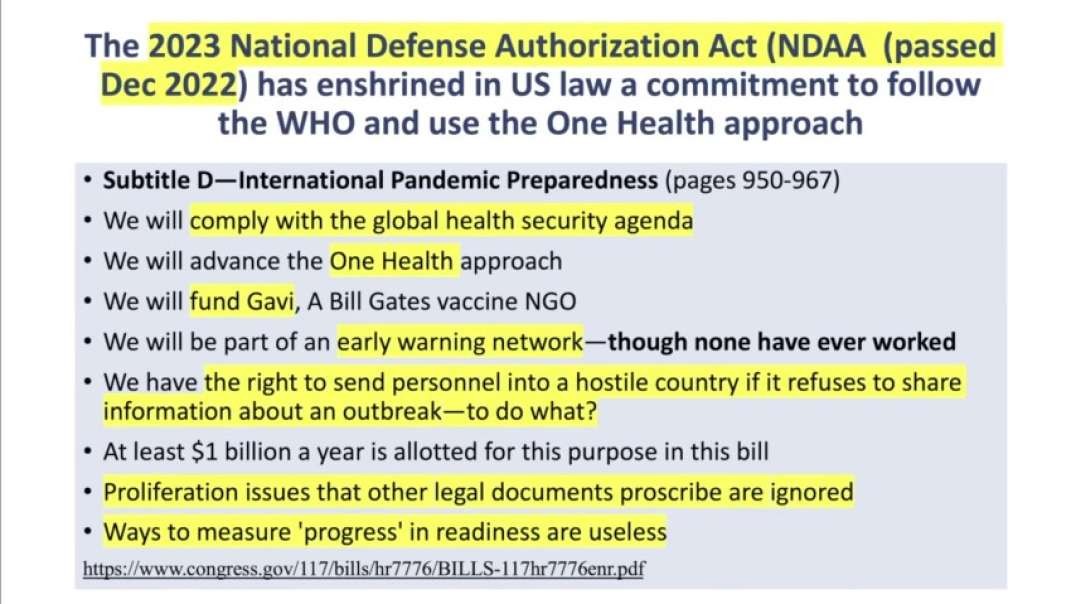 NWO: Dr. Nass on the US government submitting to the WHO and other international bodies