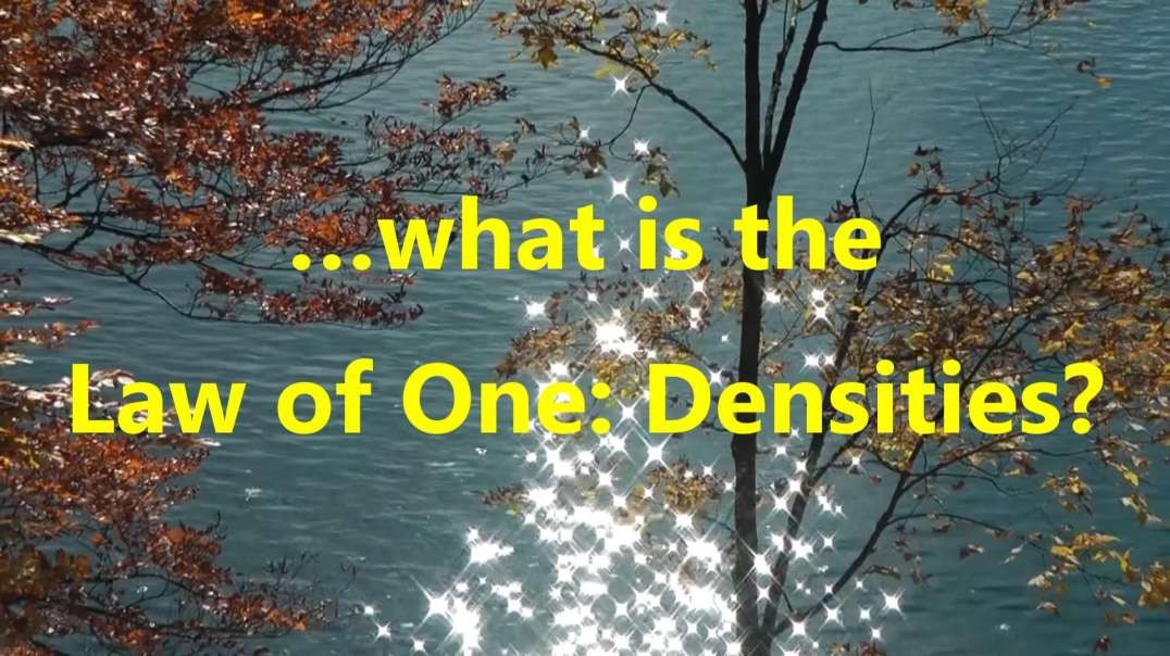 …what is the Law of One Densities?
