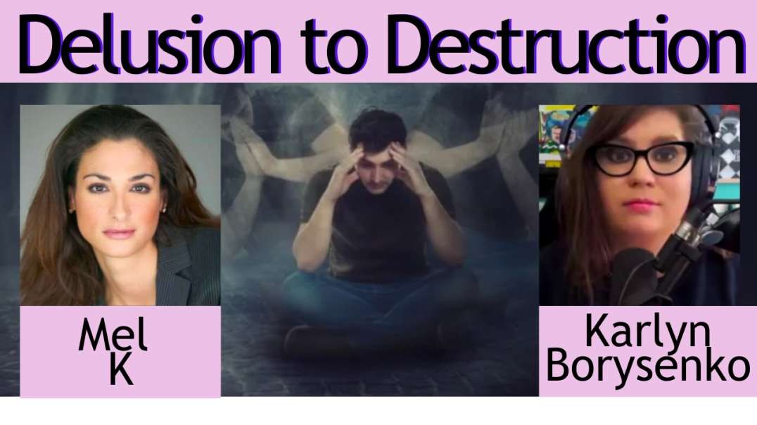 From Delusion to Destruction A Wake-Up Call for America  with Dr Karlyn Borysenko Mel K