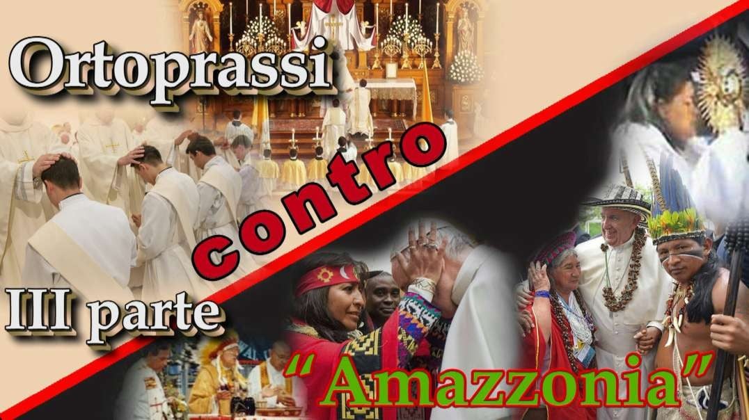 Ortoprassi contro “Amazzonia” III parte