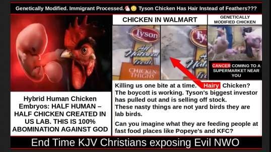 Genetically Modified. Immigrant Processed.🐔😳 Tyson Chicken Has Hair Instead of Feathers???