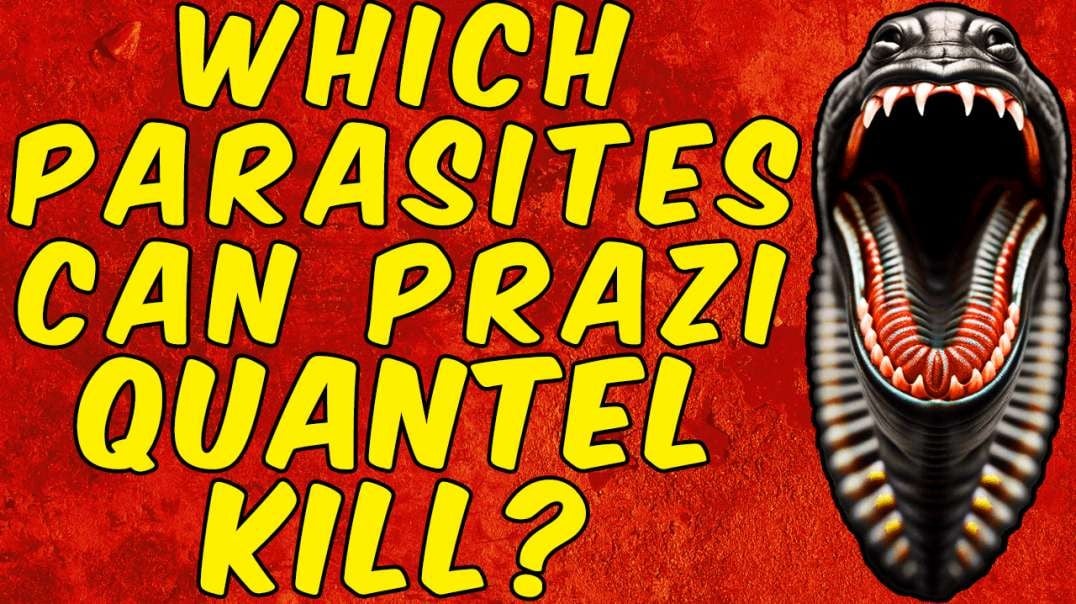 Which Parasites Can Praziquantel Kill?