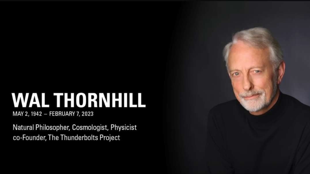 Thornhill Would Have  Become Too Popular and Overpowered Masonic Astrophysicists Bullshit(RIP)