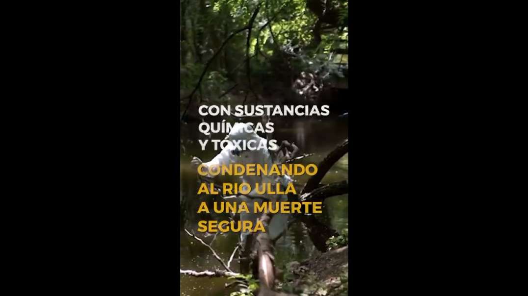 Empresa de celulosa Altri, un desastre medioambiental para Galicia