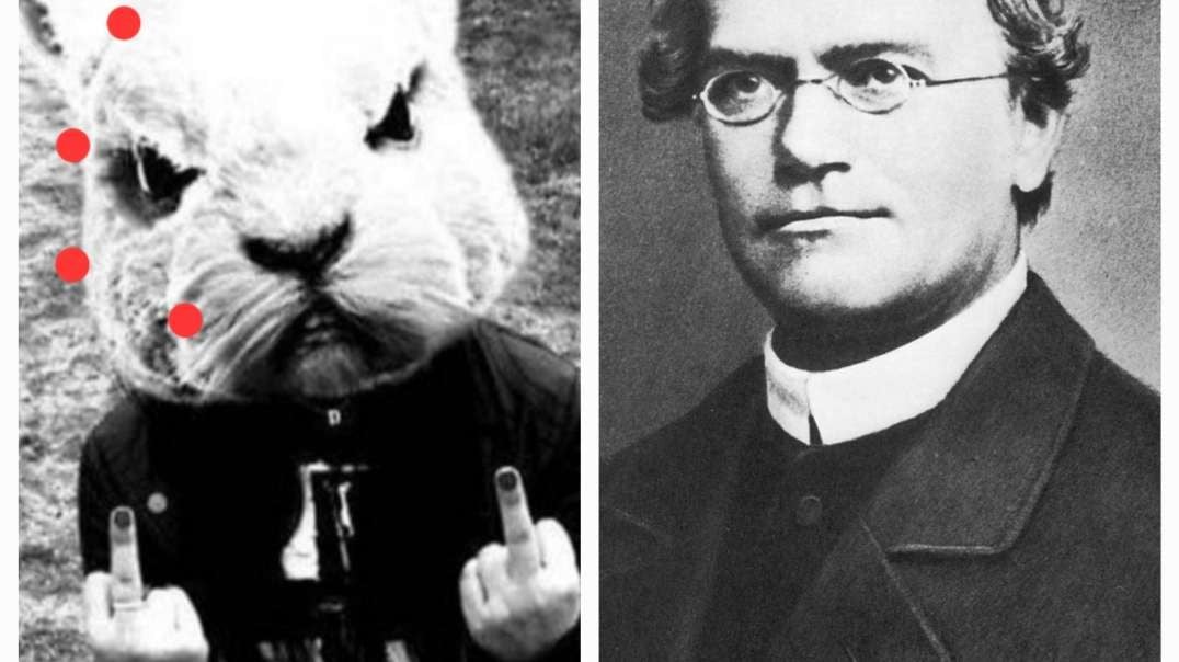 Rabbit Revenge Claims that Evolution is 100% fact and that Genetics Fails