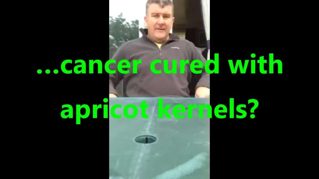 …cancer cured with apricot kernels?