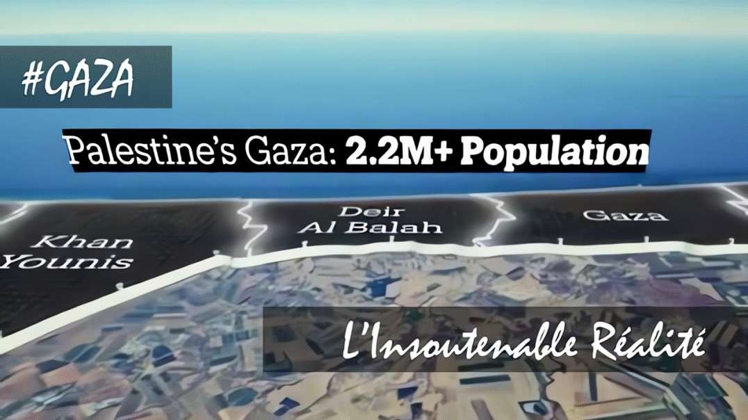#GAZA - L’Insoutenable Réalité