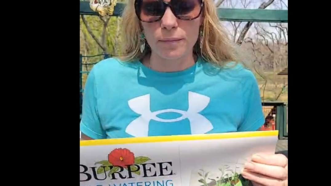 Burpee Self Water Seed Starter: Gift From Viewer!