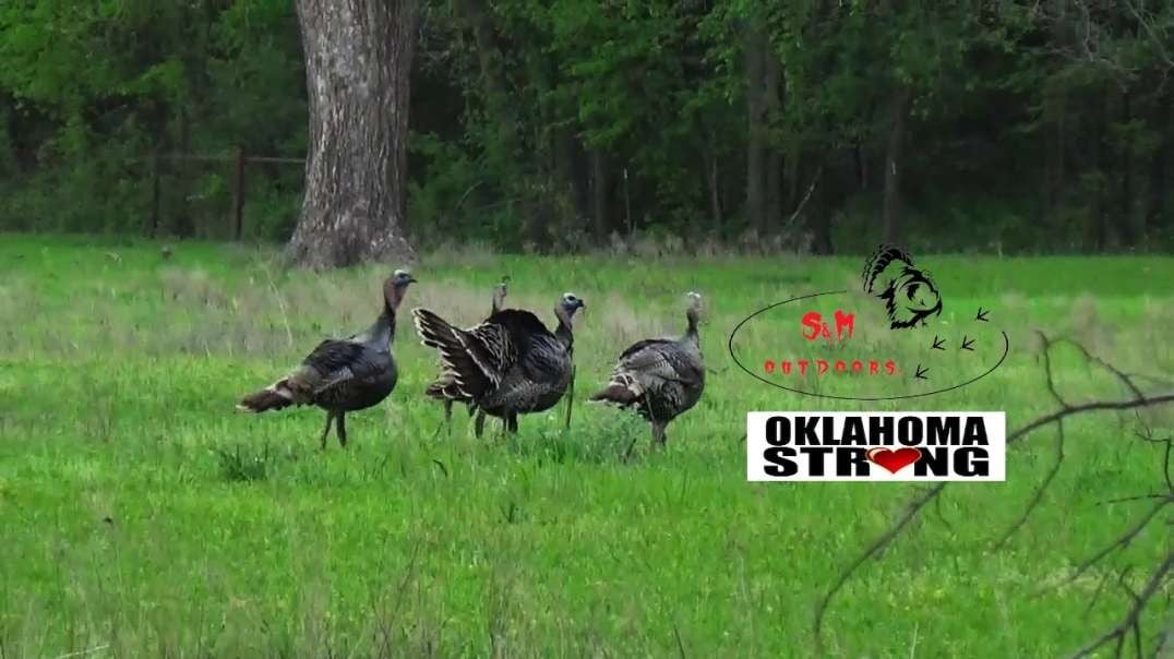 Turkey Hunting Oklahoma (part 1)