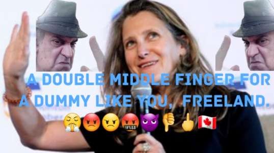 Freeland Stupidly Invites European Grocery Chains.  😤😡😠🤬👿👎🖕🇨🇦
