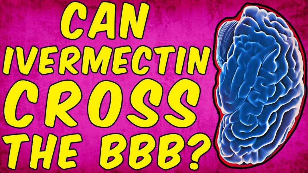 Can Ivermectin Cross The Blood Brain Barrier? - (Science Based)