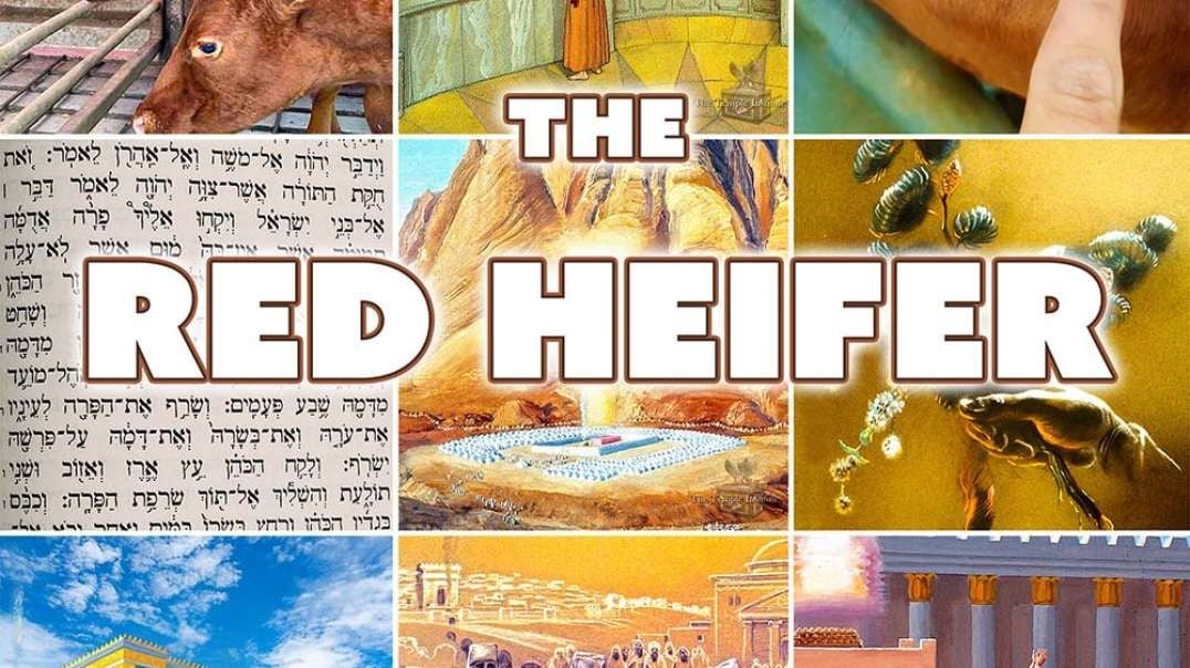 Daniel Kristos reveals shocking history of Zionism, occultism and satanism surrounding red heifer sacrifice rituals