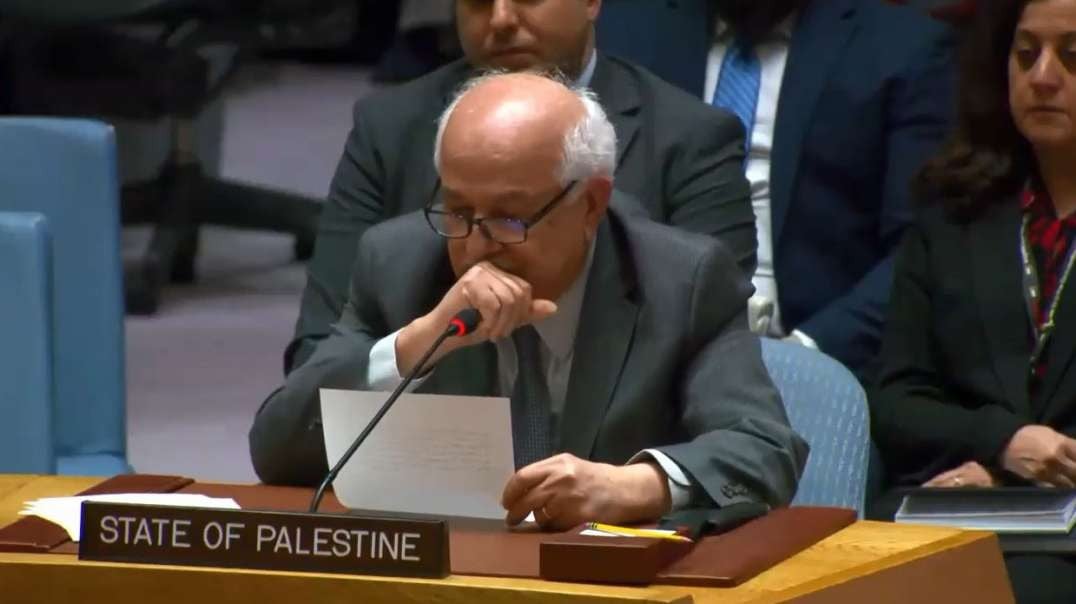 Vote on Palestine Admission for UN Membership - Security Council Meeting 4-18-24.mp4