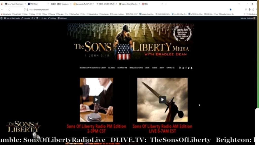 The 13579 Plan To Destroy America & How Americans Can Stop It With Ava Chen
