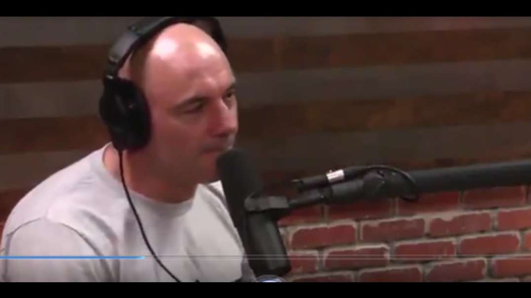 Jew Rogan Is Excited For White Genocide
