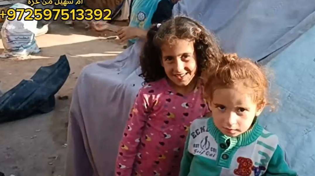 Gaza Distributing Food Items To Displaced Families In Tents.mp4