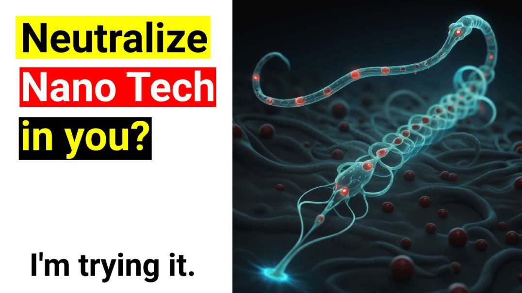 Neutralize the Nano Tech in YOU?   Not Sure but Insights from DR. Group
