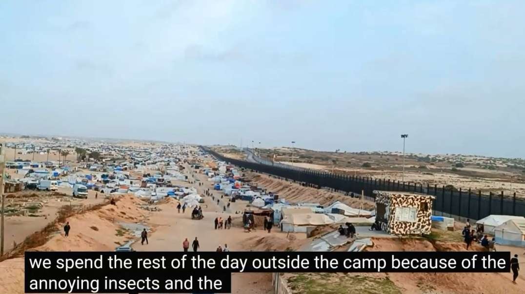 Rafah Gaza Egypt Border Tents For Displaced Families.mp4