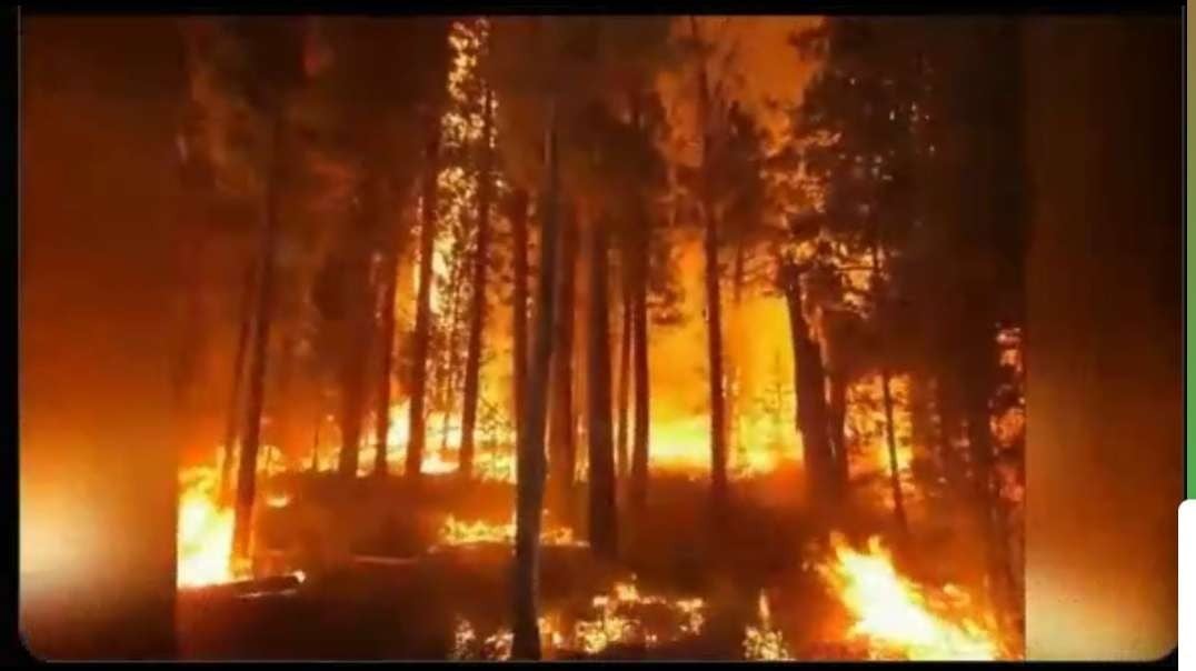 "Forest fires", things that make you go " hmmmm"