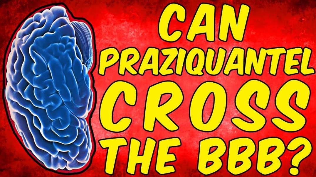Can Praziquantel Cross the Blood Brain Barrier - (Science Based)