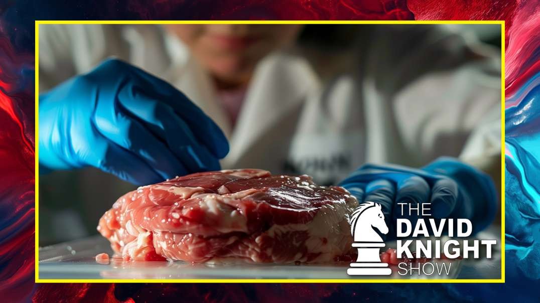 Prohibition of Lab Meat: Violation of Free Market or Resistance to Multinational Technocracy?