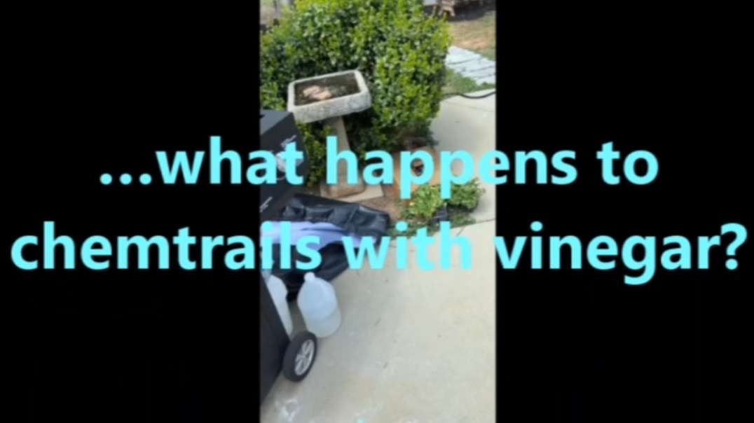 …what happens to chemtrails with vinegar.mp4