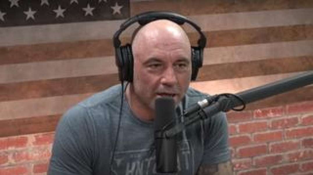 Joe Rogan does not name the group who's flooding neo-Nazi and racist posts on Gab & other platforms