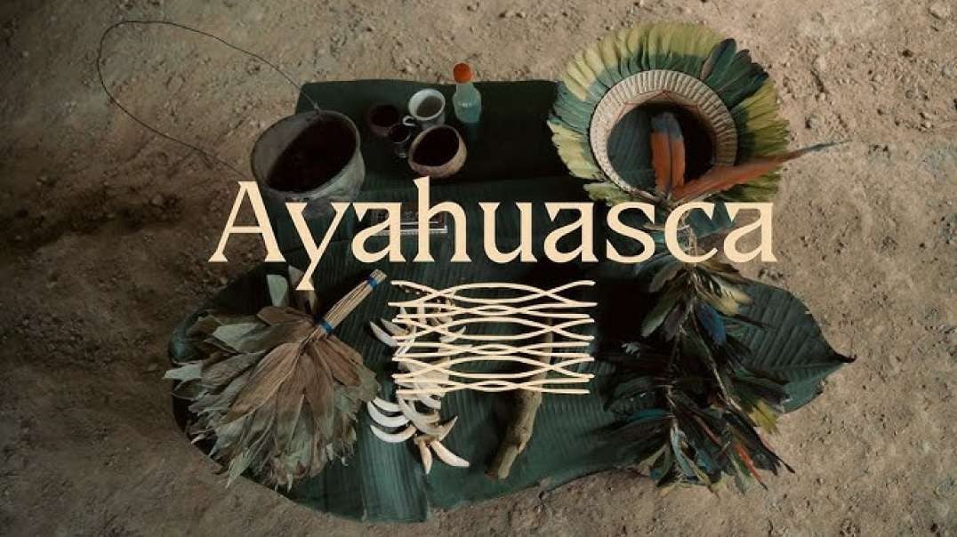 Ayahuasca Vid del alma