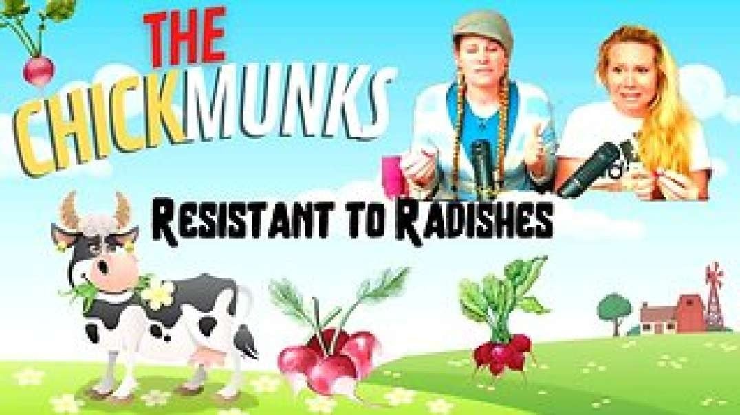 HILARIOUS!!! CHICKMUNKS: Resistant to Radishes