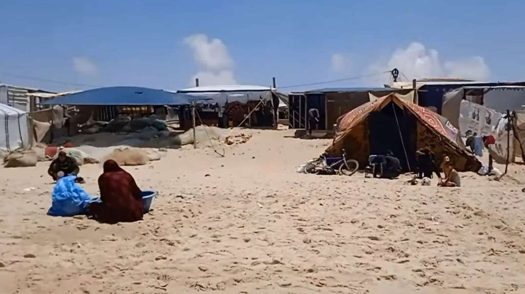 Rafah Gaza Family That Evacuated Rafah Now Displaced In Beach Tent Encampment.mp4
