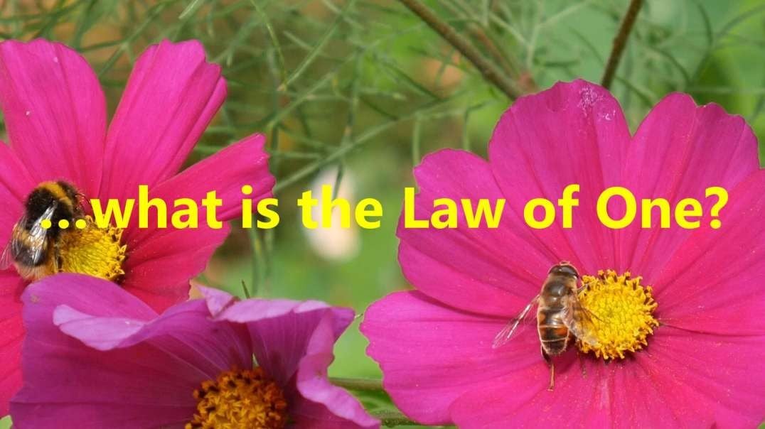 …what is the Law of One?
