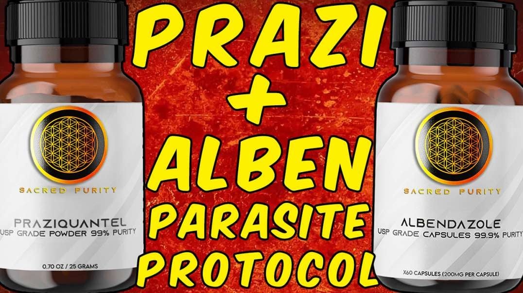 Praziquantel And Albendazole - The Ultimate Parasite Detox Protocol!