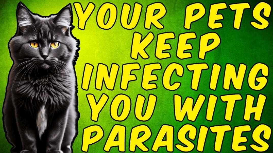 Your Pets Keep Reinfesting You With PARASITES!