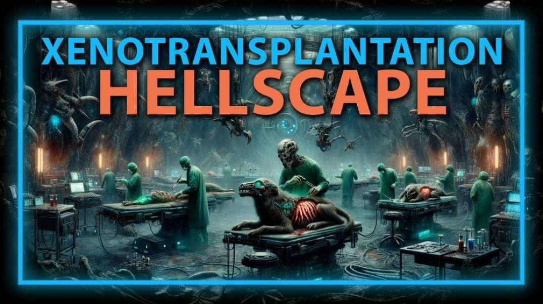Jason Bermas: A Xenotransplantation Hellscape