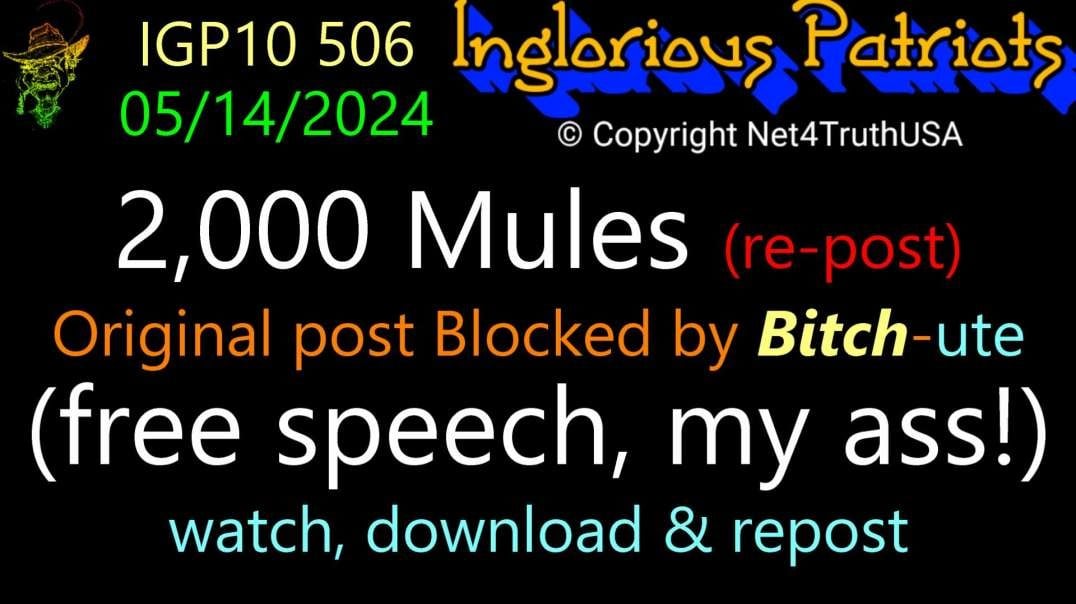 IGP10 506 - 2000 Mules BLOCKED - Free Speech my ass.mp4