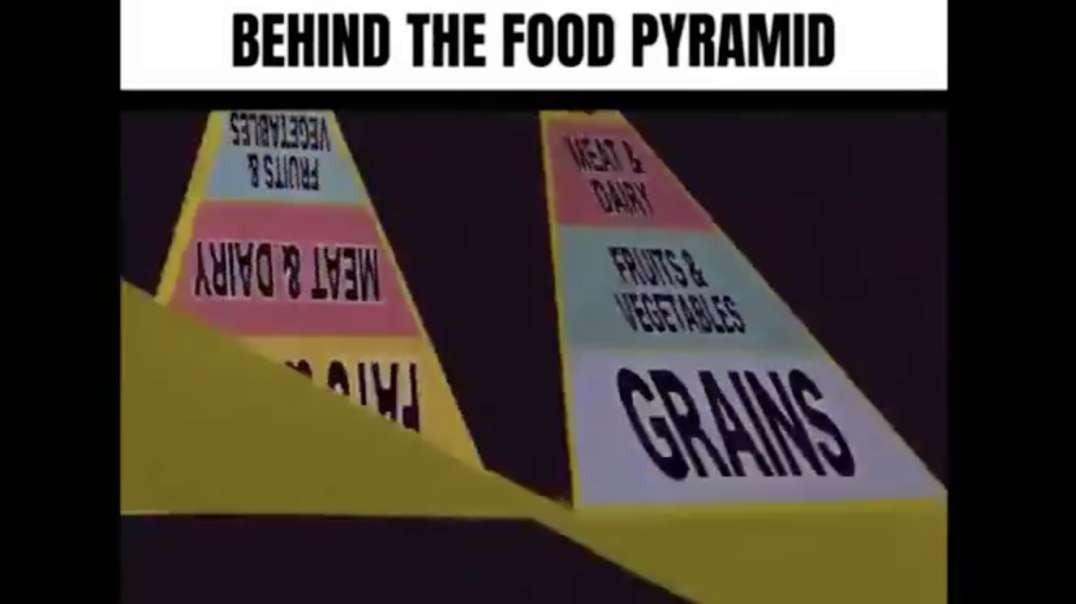 Takes A Cartoon For Some Food Pyramid Truth