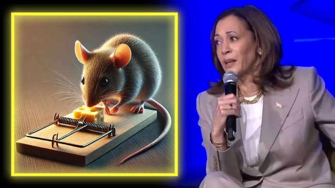 Reparations = Cheese On A Mouse Trap