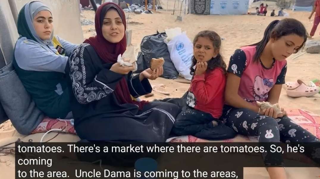 Family in Rafah Gaza Evacuated - Setting Up New Home In Displacement Tent Community.mp4