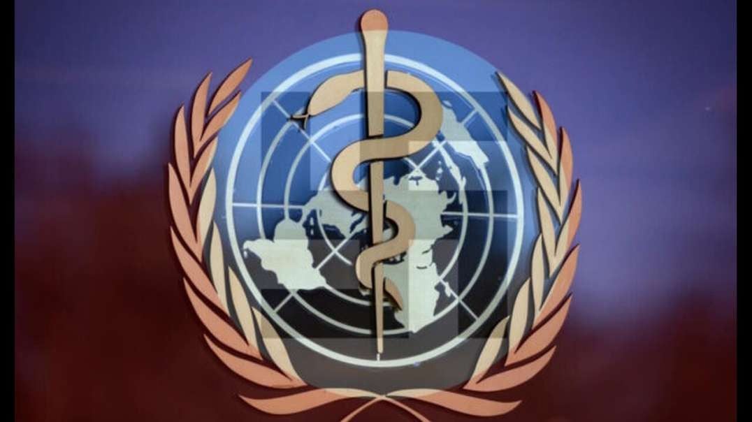 James Roguski Exposes The Tyrannical Power Grab By The World Health Assembly