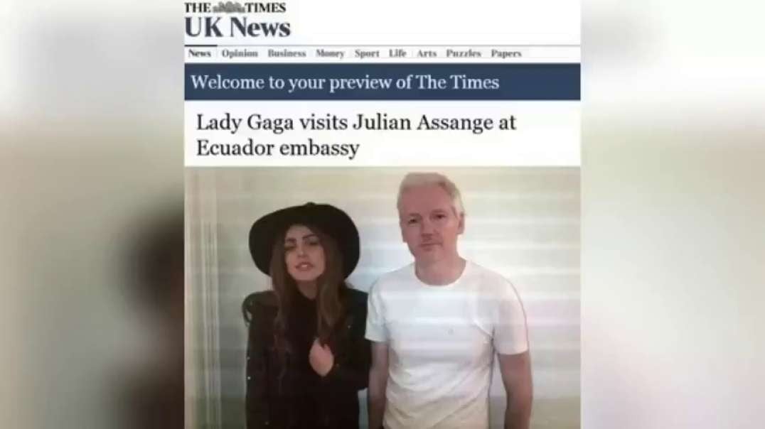 Julian Assange - The False Light